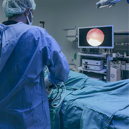 Endoscope